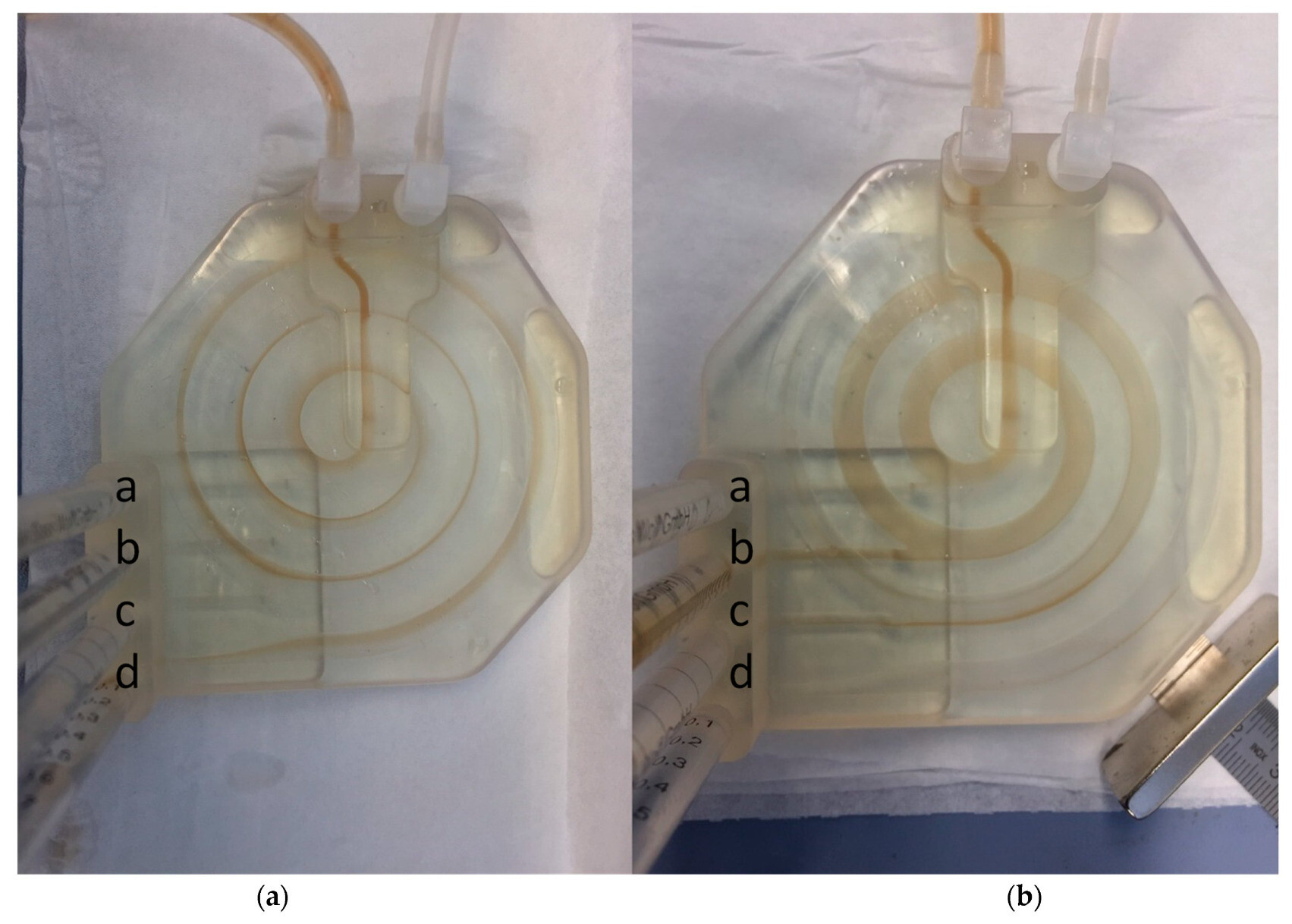 Bose Einstein Kondensat Magnetophoretic Cell Sorting Macs Using