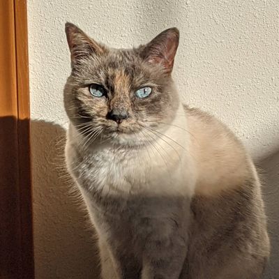 grumpygus08's avatar