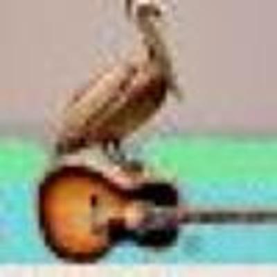Pelican Dock Music Alt