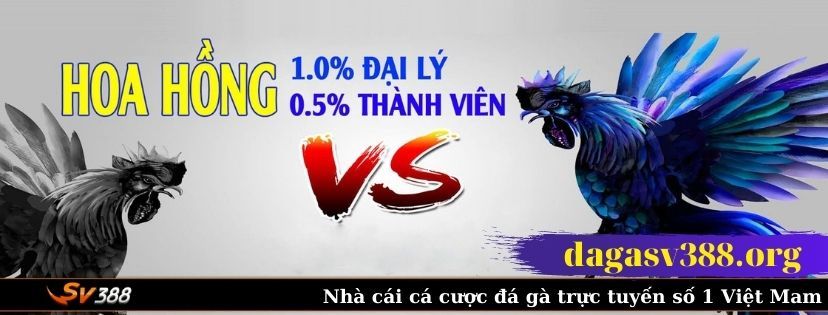 Sv388 - Đấu Trường Gà Mừng Chiến Thắng - Khám Phá Thế Giới Đá Gà Online