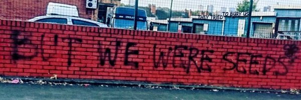 localnotail's profile header