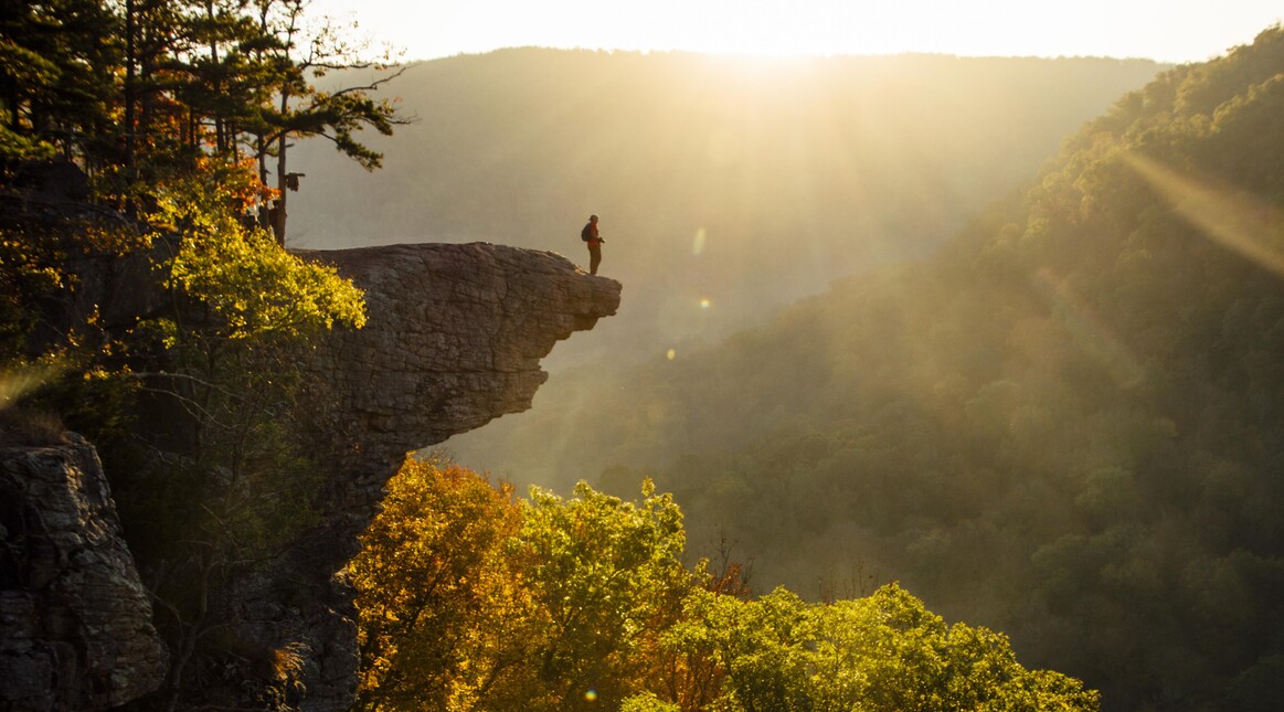 paulknightly's profile header