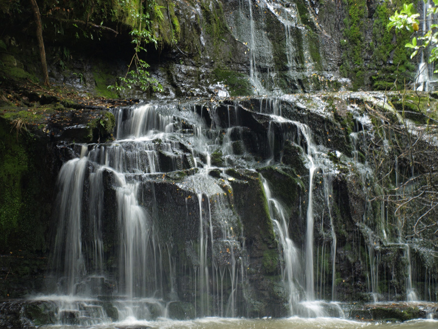 LaurelStandley's profile header