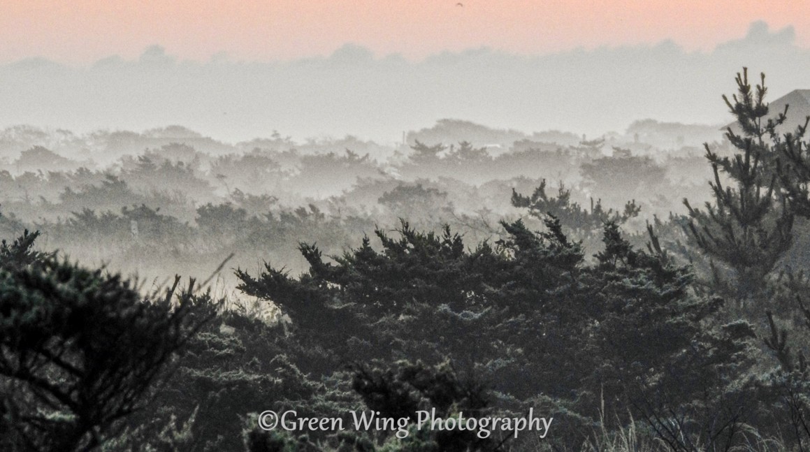 GreenWingPhoto's profile header