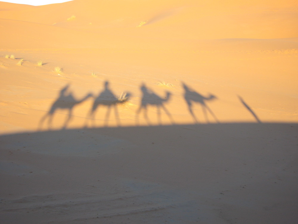 Kloosha's profile header