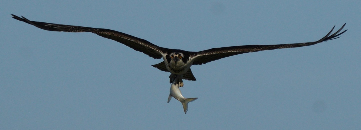 christinebeeton's profile header