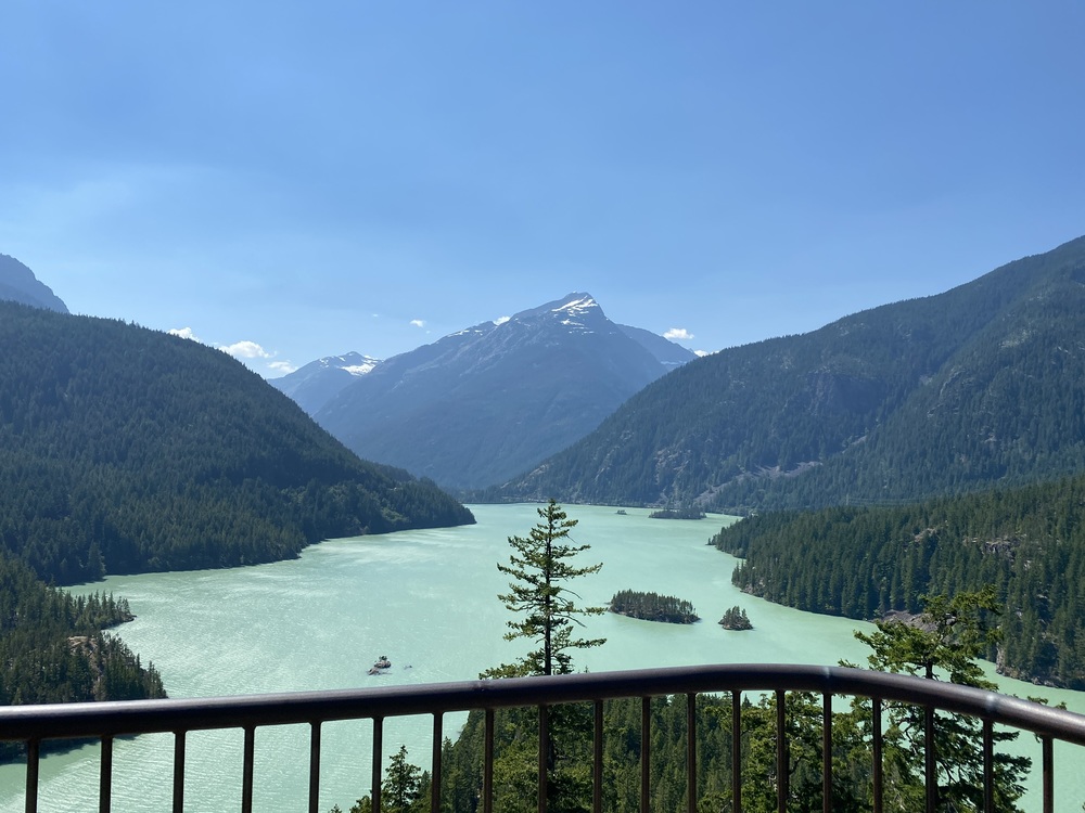 AndreaYoung's profile header