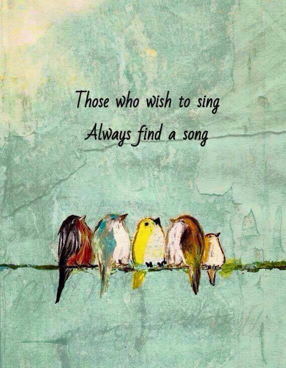 dimplestoday's profile header