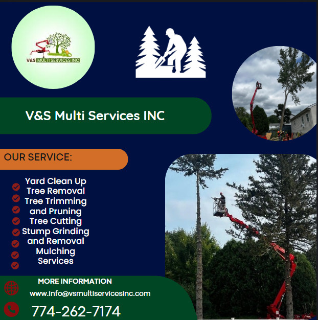 V&S Multi Services INC (@VySMultiServicesINC@mstdn.social) - Mastodon 🐘