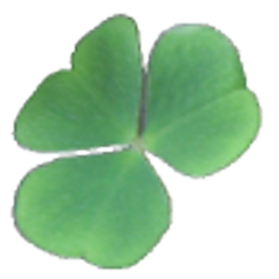 karussell's avatar