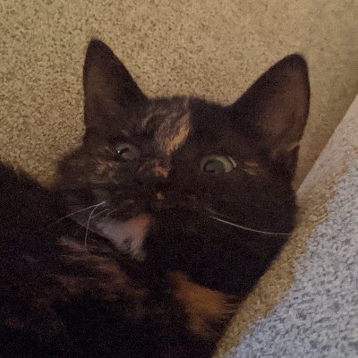 hvangalen's avatar