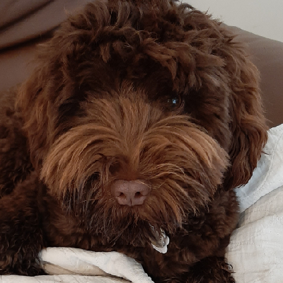 AndrewR_physics's avatar