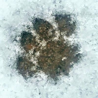 Mathou's avatar