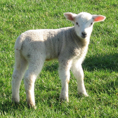 cornishskipper's avatar