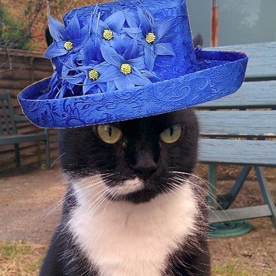 maldensaboteur's avatar