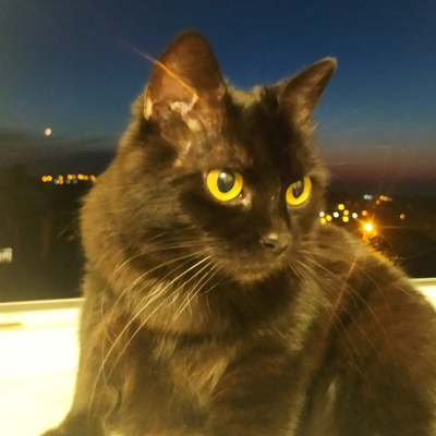 Nerina's avatar
