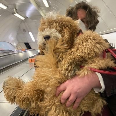 JonnElledge's avatar