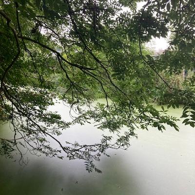 beate_kurth's avatar