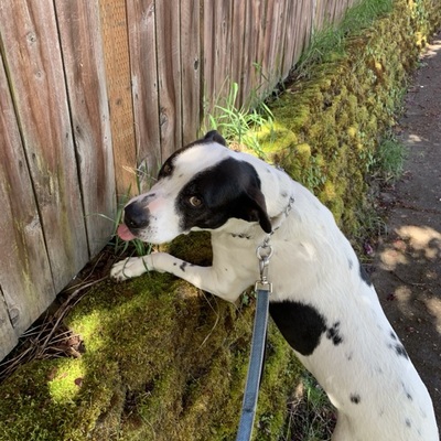 Petesmom's avatar