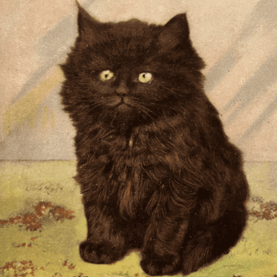 CatsOfYore's avatar