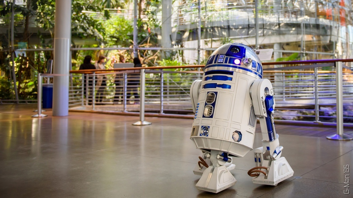 grantmckinney's profile header