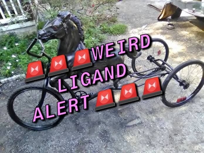 ndchiappini's profile header