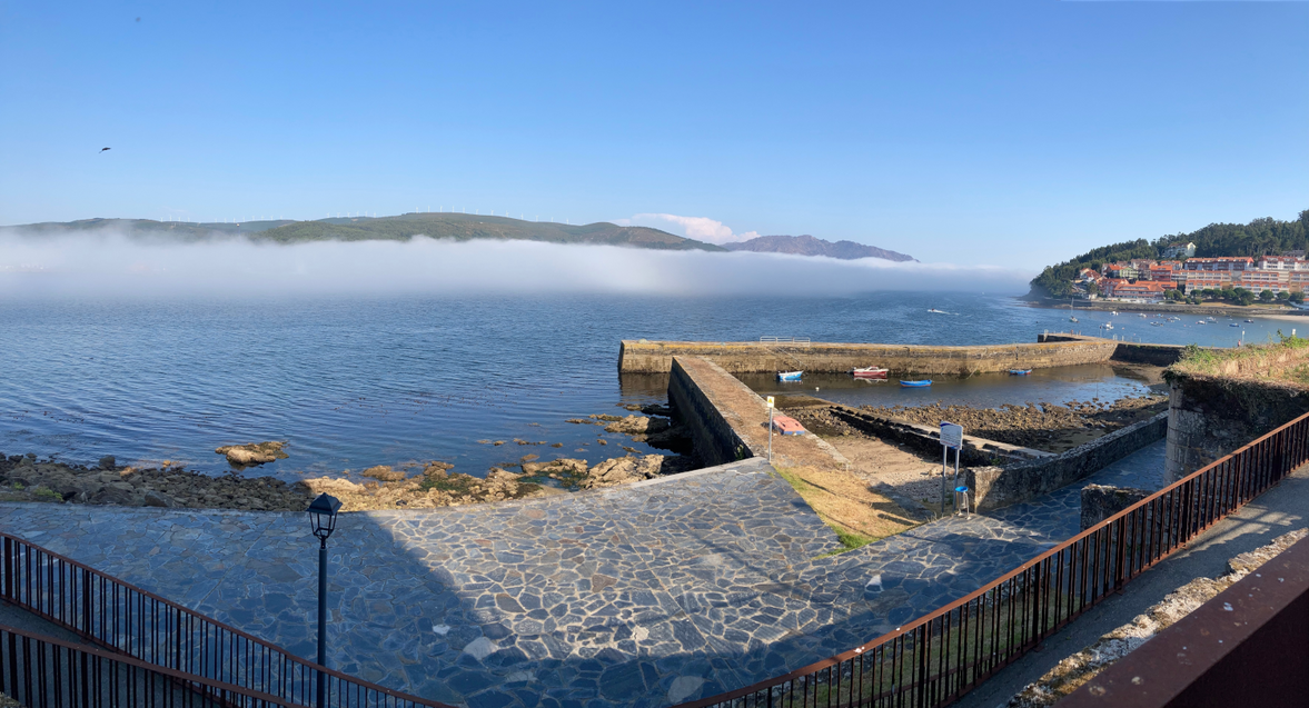 BioNanoPaco's profile header