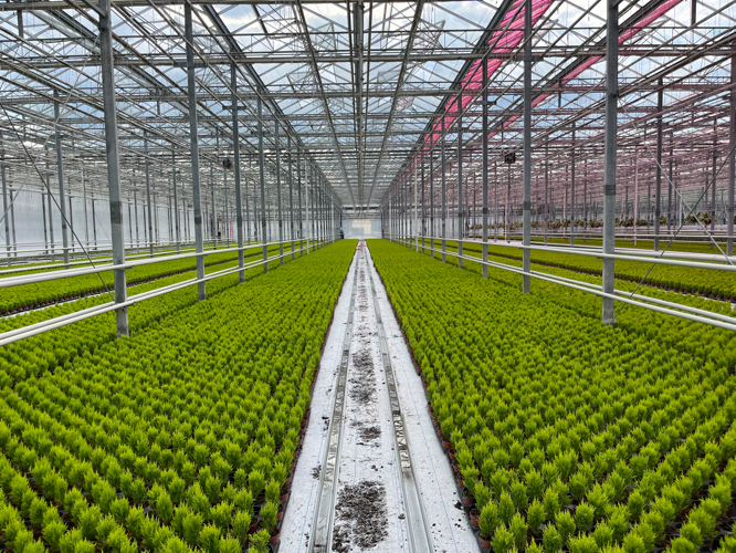 trevorcharles's profile header