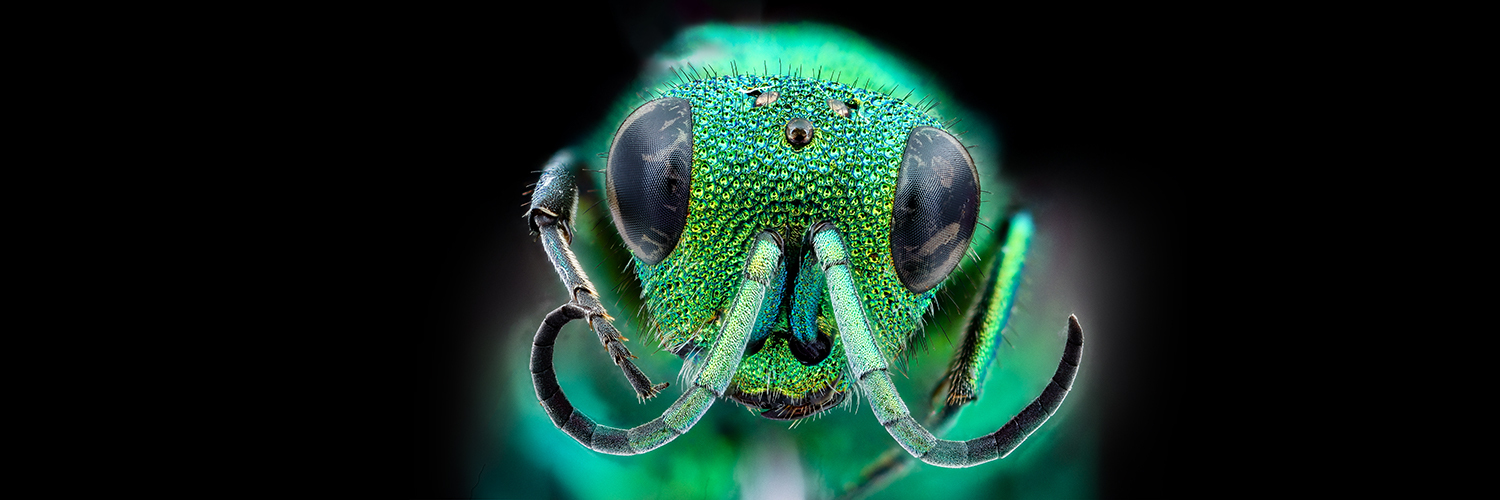 KnowableMag's profile header