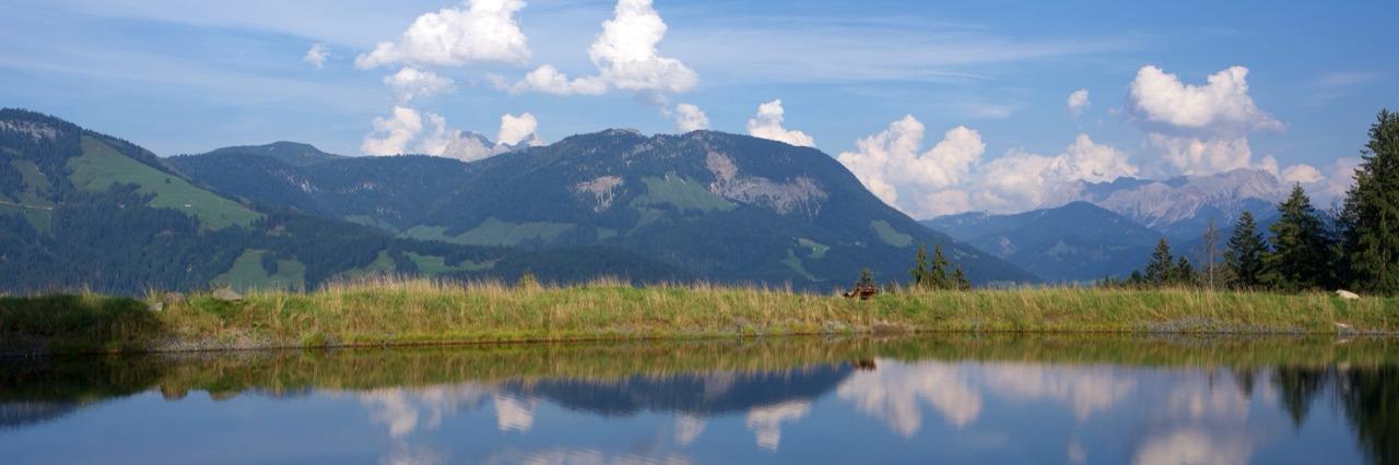 bluemix's profile header