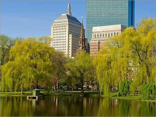 dnkboston's profile header