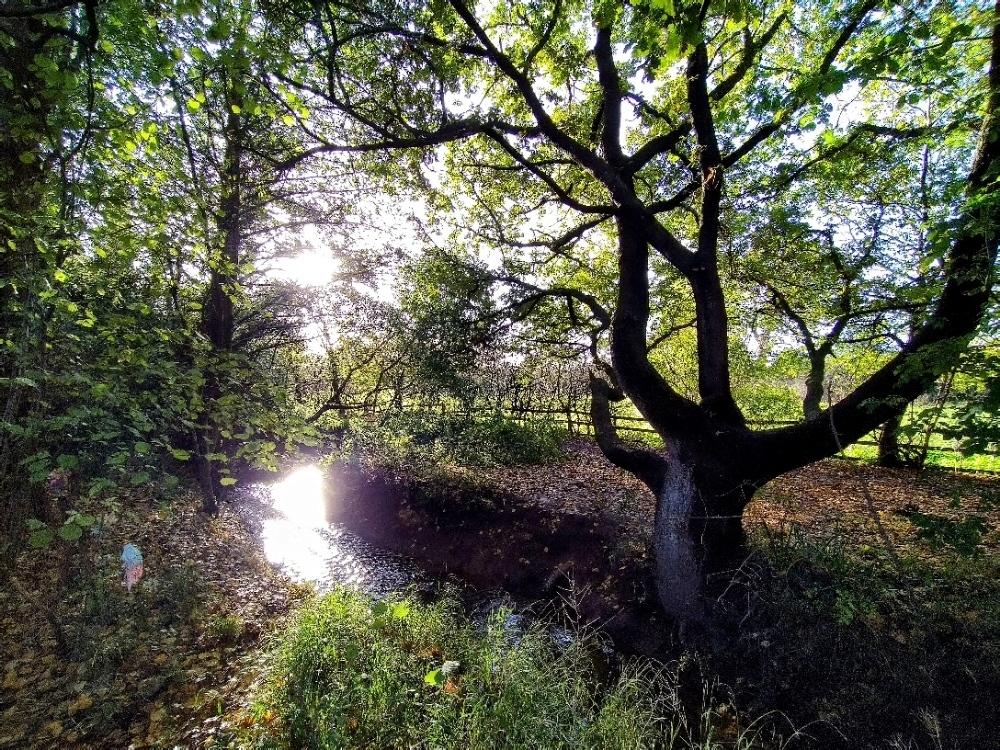 jamesots's profile header