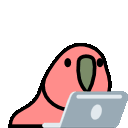 :laptop_parrot: