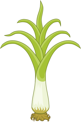 :leek:
