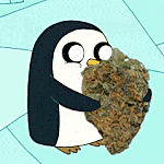 :nuggie: