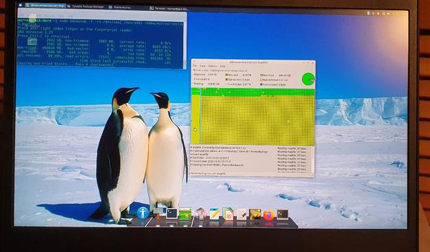 Lenovo Thinkoad laptop screen displaying ddrescue and ddrescueview over an Antarctic desktop wallpaper with two penguins.