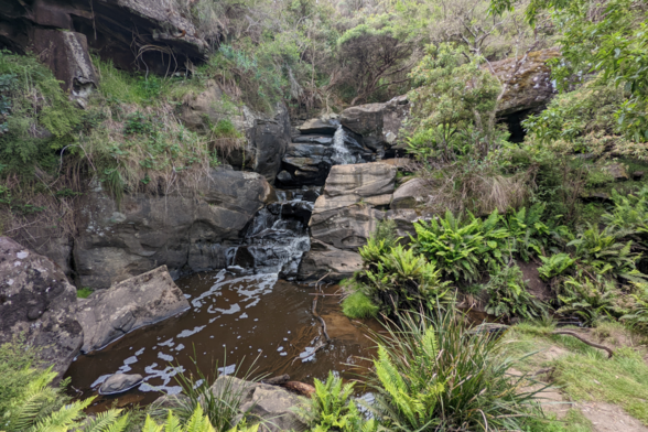 Waterfall near Blanket Bay Campground, Great Ocean Walk, Victoria, Australia. Ancient, mossy rocks form a natural amphitheatre. In the centre, a waterfall stains the rocks black and leads to a trickling river of tannin-brown water. Around the edge of the river are trees, thick-bladed grasses, and green ferns.