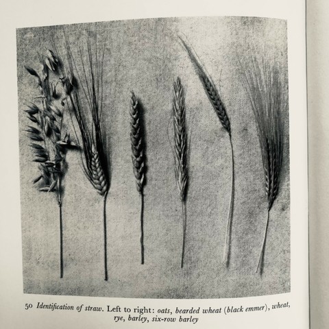 Identification for straw