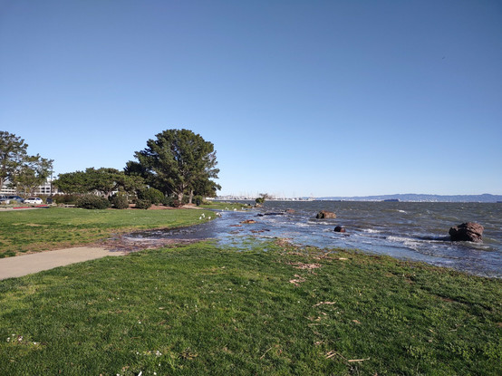 Pathway and green space flooded by San Francisco Bay during the extreme king high tide.