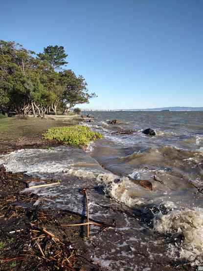 San Francisco Bay extreme high tide pushing over land that is normally dry.