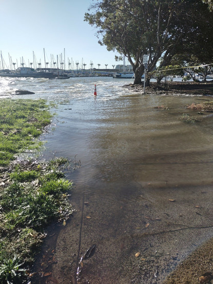 Pathway and green space completely submerged from San Francisco Bay by extreme high king tide. Harbor in the distance.
