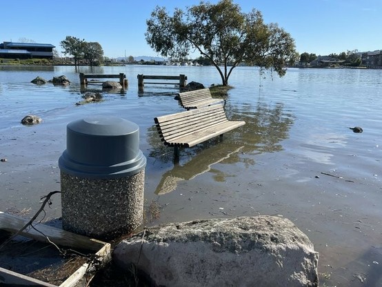 Flooded park in Greenbrae California