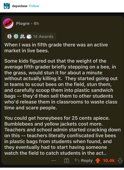 depsidase: Reddit screenshot: When O was in fifth grade there was an active market in live bees. Some kids figured out that the weight of the average fifth grader briefly stepping on a bee, in the grass, would stun it for about a minute without actually killing it. They started going out in teams to scout bees on the field, stun them, and carefully scoop them into plastic sandwich bags -- they'd then sell them to other students who'd release them in classrooms to waste class time and scare people. You could get honeybees for 25 cents apiece. Bumblebees and yellow jackets cost more. Teachers and school admin started cracking down on this -- teachers literally confiscated live bees in plastic bags from students when found, and they eventually had to start having someone watch the field to catch students in the act.
