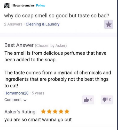 liliesandremains:
Screenshot of a product review:
why do soap smell so good but taste so bad? 
Best Answer (Chosen by Asker

The smell is from delicious perfumes that have been added to the soap.

The taste comes from a myriad of chemicals and ingredients that are probably not the best things to eat!

Homemom28's comment

Comment + o §o

Five stars
you are so smart wanna go out