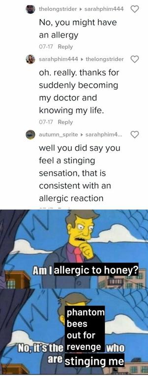 -No, you might have an allergy
-oh. really. thanks for suddenly becoming my doctor and knowing my life.
-well you did say you feel a stinging sensation, that is consistent with an allergic reaction 

Principal Skinner "kids who are wrong" meme format. Panel 1: Principal Skinner from the Simpsons looks thoughtful against a damaged fence. "Am I allergic to honey?" Panel 2: He looks more resolute. "No, it's the phantom bees out for revenge who are stinging me"