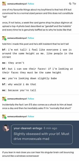 somecunttookmyurl: one of my favourite things about my boyfriend is that he's 6'4 but convinced he is a normal sized person and this does not constitute “tall” once, if not twice, a week the card game shop he plays digimon at upload a top-4 photo best described as "gandalf and the hobbits” and every time he is genuinely baffled as to why he looks like that 
somecunttookmyurl: told him i made this post and he's still insistent that he isn't tall 
bf: i'm not tall! i feel like everyone i see is around the same height as me. like people in the street 
me: they aren't 
bf: but i can see their faces! if i'm looking at their faces they must be the same height 
me: you're looking down slightly babe 
bf: why would i do that 
me: because you're tall 

somecunttookmyurl: incidentally the fact i am 5' also comes as a shock to him at least once a day and then he inevitably asks if I'm "normally that short" 

your-dearest-antego: Slightly obsessed with your bf. Must drive morosexuals 
mad 

somecunttookmyurl : if you lean in real close you can hear his singular brain cell bouncing around like a windows screensaver
