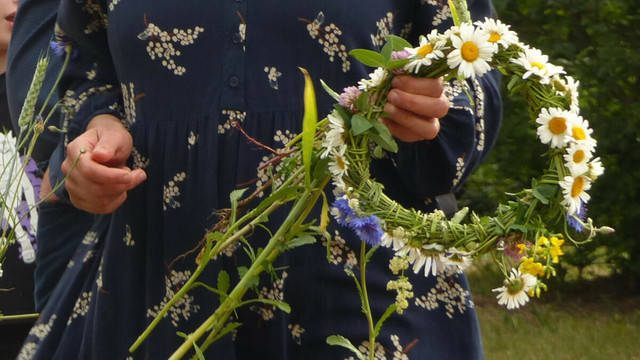 Une couronne de marguerites et bleuets dans les mains d'une personne en robe à petits motifs floraux.