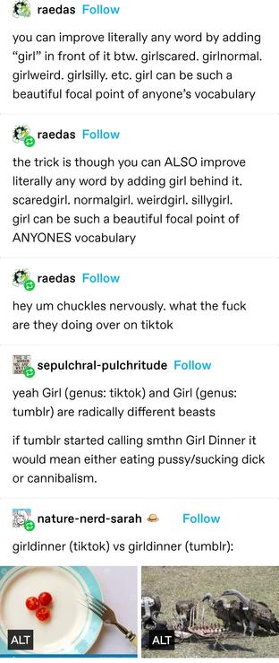 raedas: you can improve literally any word by adding “girl” in front of it btw. girlscared. girlnormal. girlweird. girlsilly. etc. girl can be such a beautiful focal point of anyone’s vocabulary

the trick is though you can ALSO improve literally any word by adding girl behind it. scaredgirl. normalgirl. weirdgirl. sillygirl. girl can be such a beautiful focal point of ANYONES vocabulary 

hey um chuckles nervously. what the fuck are they doing over on tiktok  

sepulchral-pulchritude: yeah Girl (genus: tiktok) and Girl (genus: tumblr) are radically different beasts

if tumblr started calling smthn Girl Dinner it would mean either eating pussy/sucking dick or cannibalism. 

nature nerd sarah: girldinner (tiktok) vs girldinner (tumblr)

Photo of a bowl of yoghurt artfully arranged with berries

Photo of a group of vultures pecking a corpse dry