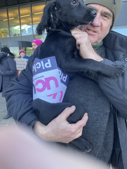 Wee pup on the UHI-UCU picket line today. She’s a silky black spaniel and wearing a UCU picket armband round her waist