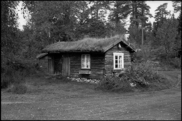 A small croft at the edge of the forest. It is a sunny fall day. The house has a roof with grass growing on it, a common way to insulate in the old days.